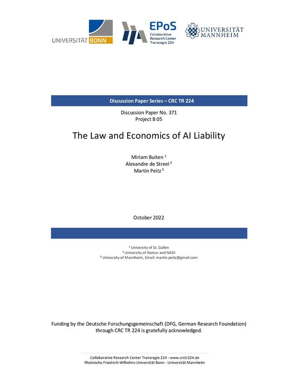 The Law and Economics of AI Liability